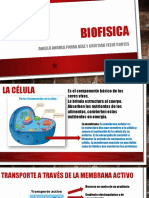 Biofisica Célula