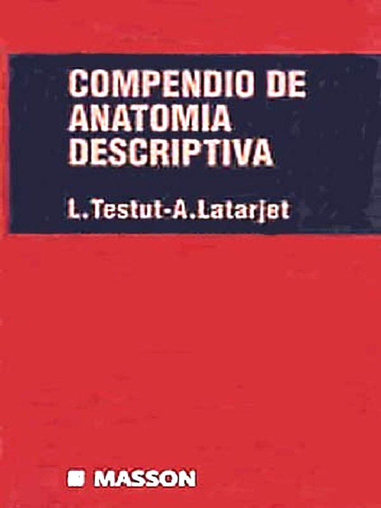 Compendio de Anatomia Descriptiva Testut Latarjet | PDF