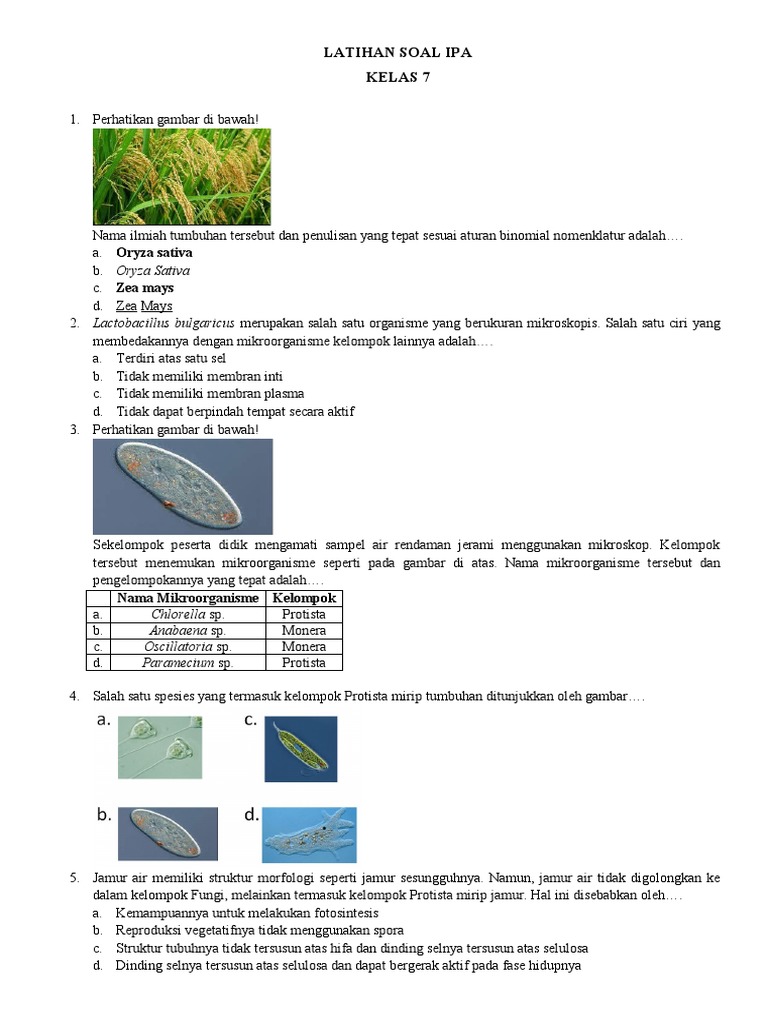 Latihan Soal Ipa Kelas 7 Smt 2 Pdf