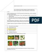 Biologi Ujian Sekolah 2021 (Answer)