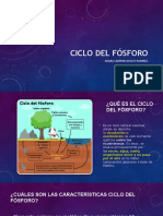 Ciclo Del Fosforo