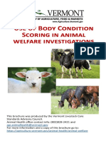 Use BCS in in Animal Welfare Investigation