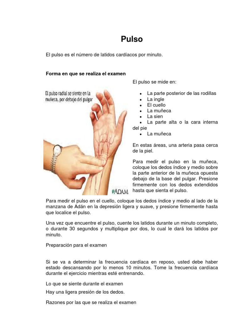 Cómo medir y entender el pulso | PDF | Legumbres | Ritmo cardiaco