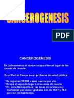 Cancerogenesis