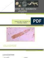 2.2.-Elementos Del Sedimento Urinario 2