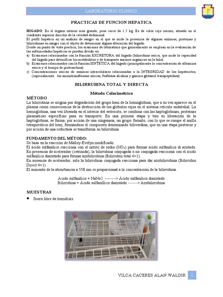 Practica de Laboratorio N5 | PDF | Transaminasa | Hepatitis