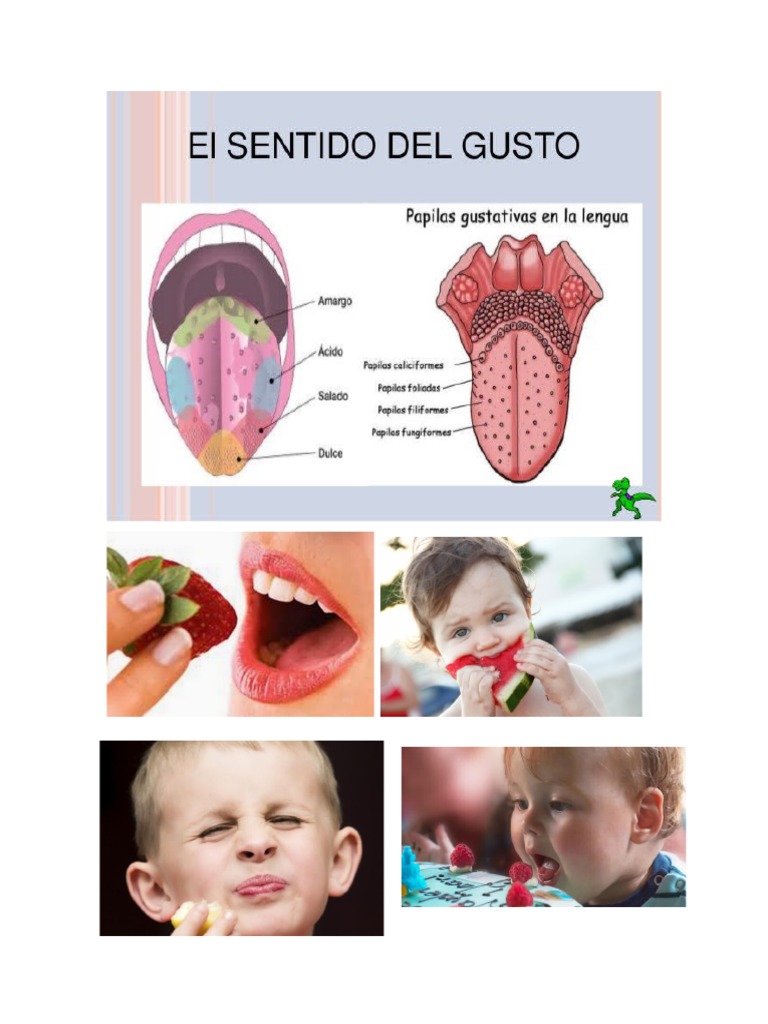 El Sentido Social Del Gusto Pdf – CTLGA