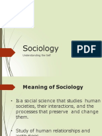 Sociological Self