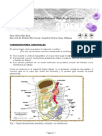 Fisiologia de Cavidad Abdominal2