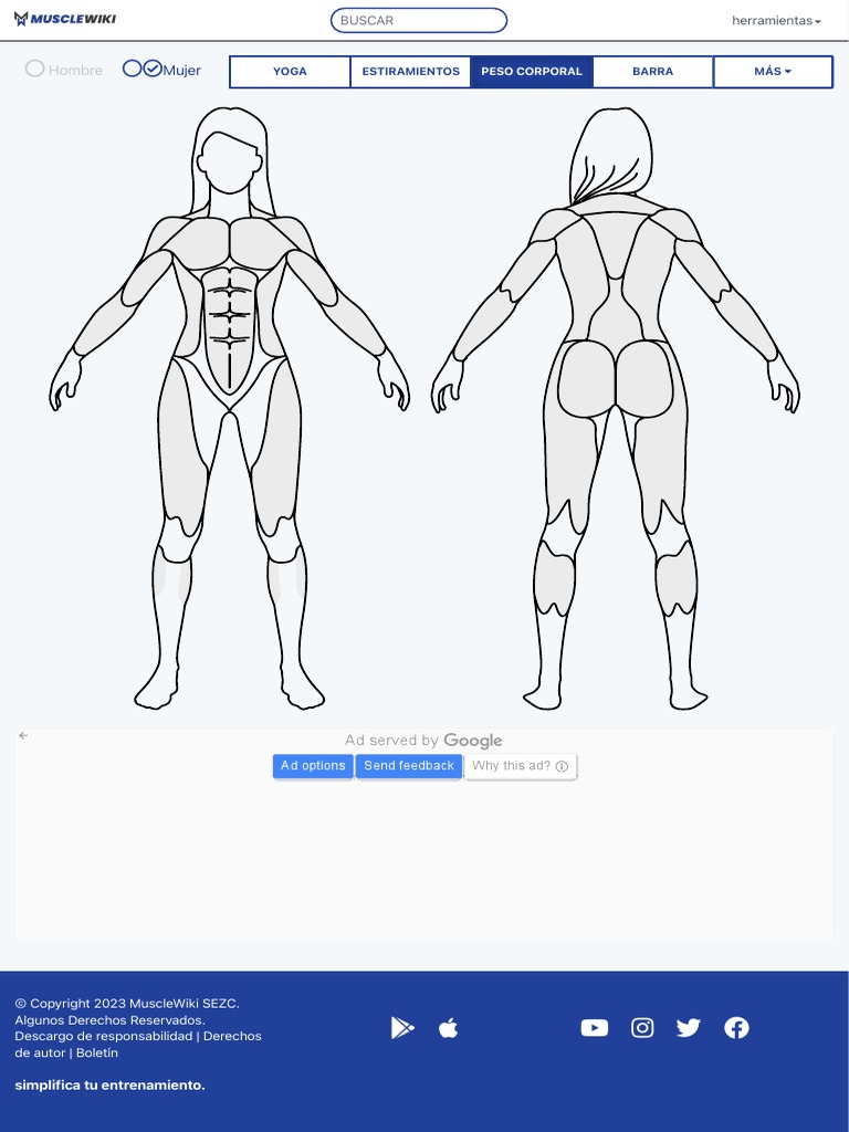 Muscle Wiki | PDF