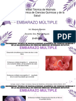 Embarazo Multiple