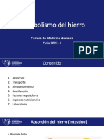 Metabolismo Del Hierro