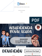 Insuficiencia Renal Aguda 115098 Downloable 1340168