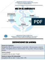 5 Exposicion de Anemia en El Embarazo