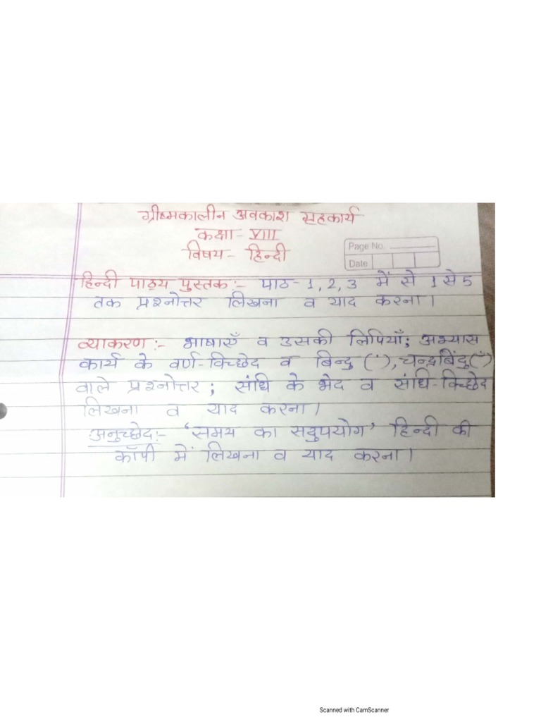 Hindi Holiday Homework (VLLL) PDF