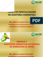 Auditoria Energetica-Modulo V