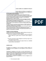 Creación de Una Empresa de Asesoría Contable