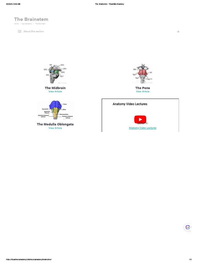 The Vagina - Structure - Function - Histology - TeachMeAnatomy