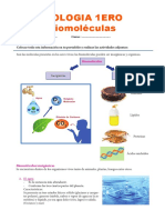 Biomoléculas-Materia y Actividades