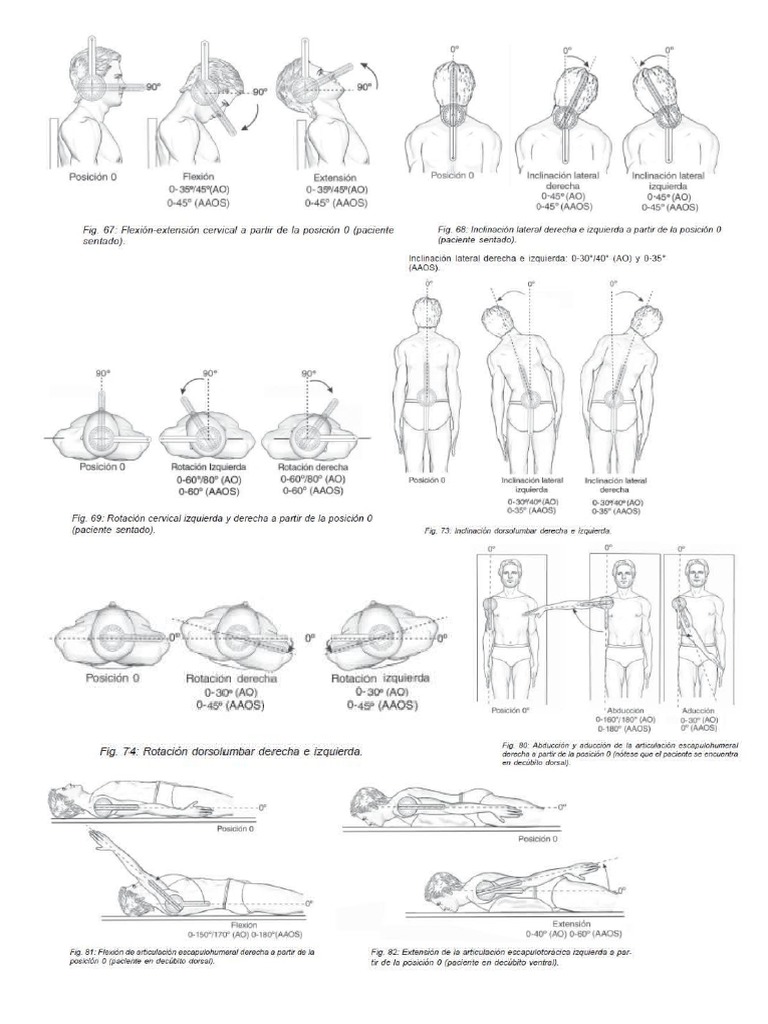 Rango de Movimiento Articular AAOS | PDF | Anatomía | Anatomía del ...