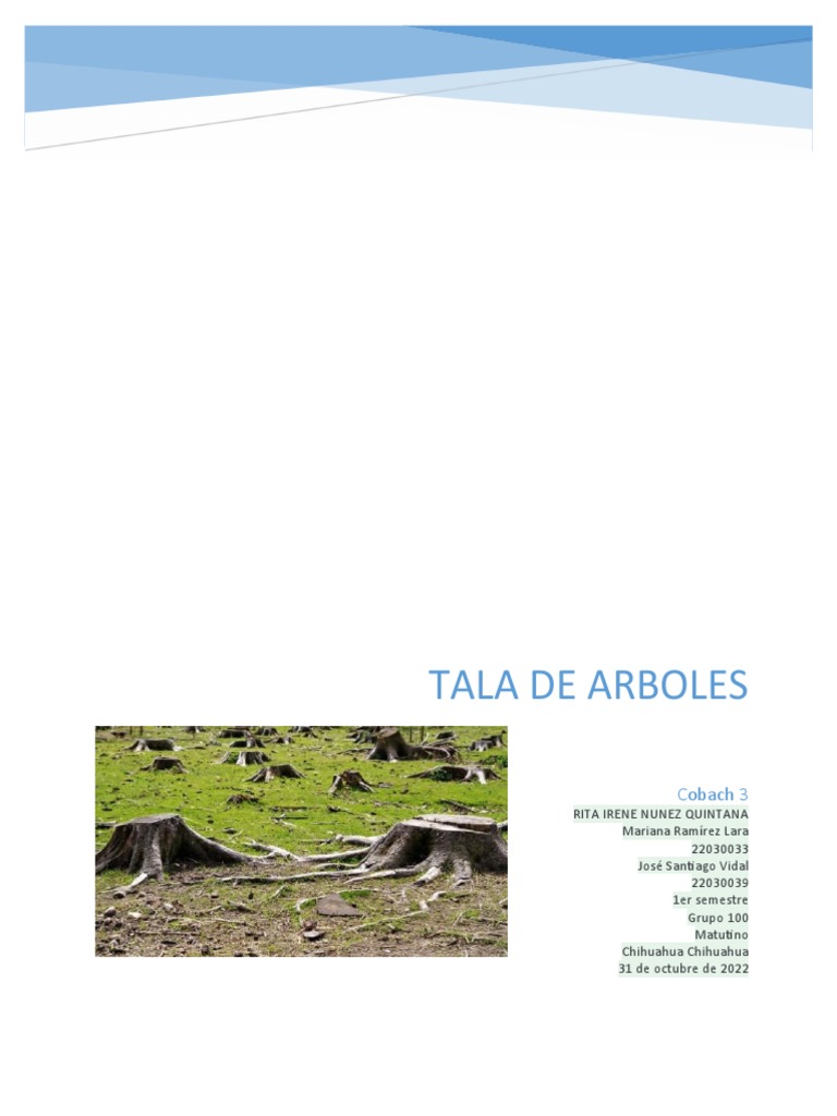 Impacto y soluciones a la tala de árboles | PDF | Deforestación ...