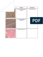 Guía de Morfofisiología (LAB)