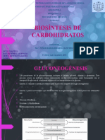 Biosíntesis de Carbohidratos