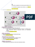 OFTALMOLOGIA 