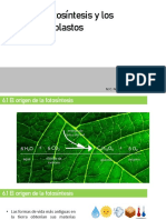 Capítulo 6 Segundo Parcial BIOLOGÍA CELULAR