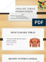 Miologia Del Torax Abdomen