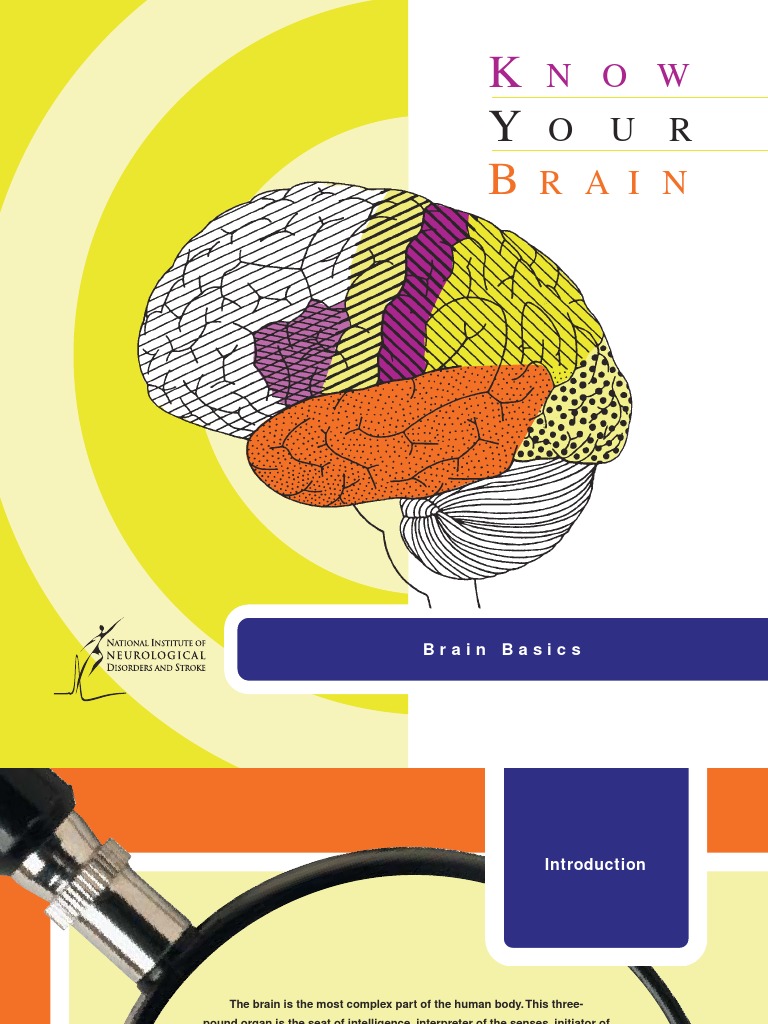 Brain basics know your brain cerebrum neuron free 30 day trial