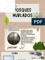 Presentacion Bosques Nublados
