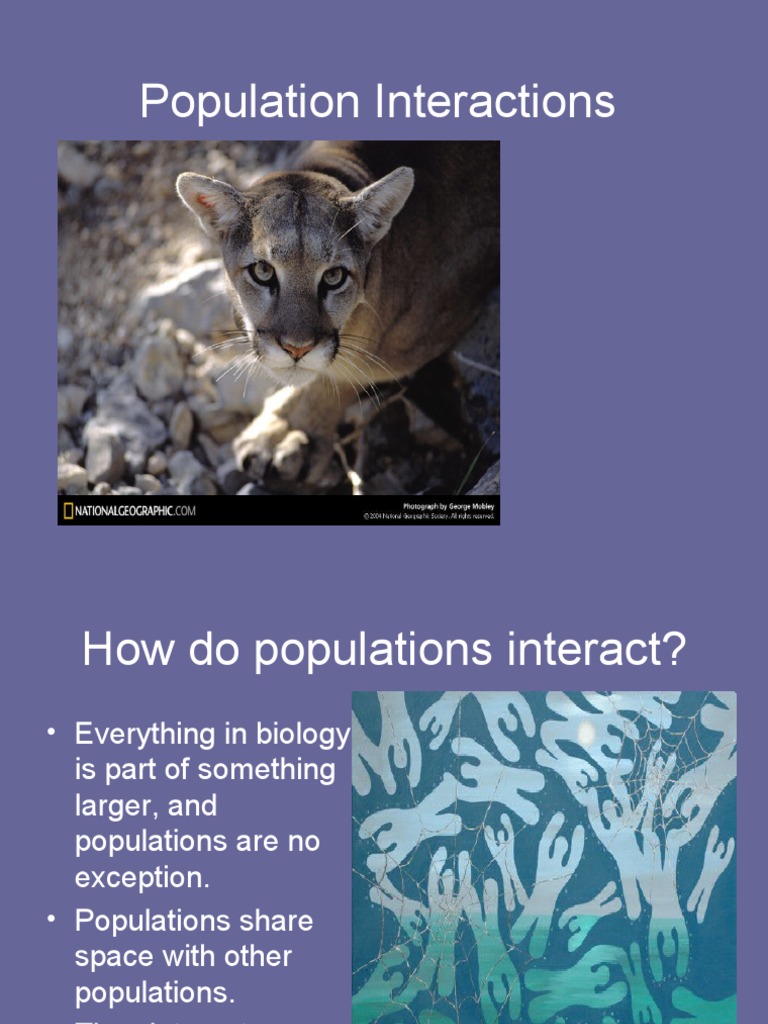 Population Interactions in Ecology | PDF | Ecological Niche | Predation