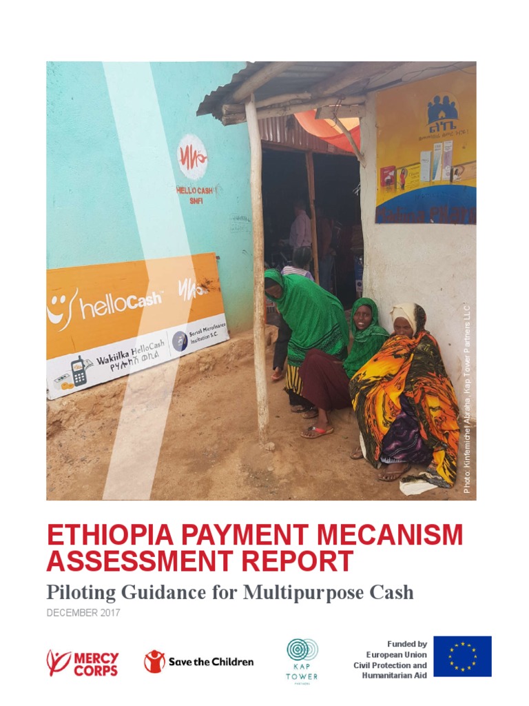 Ethiopia Payment Mechanism Assessment | PDF | Microfinance | Financial ...