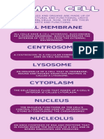 Virus Classification Infographic in Purple Flat Graphic Style