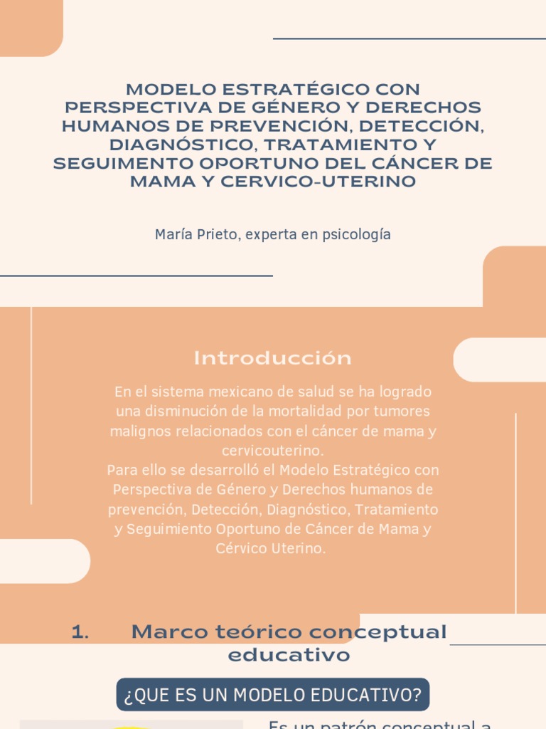 Modelo Estratégico Con Perspectiva de Género y Derechos Humanos Con | PDF