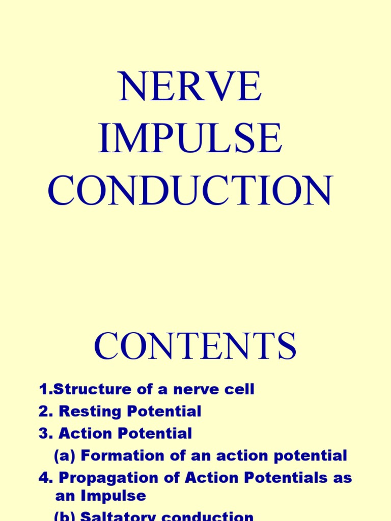 Nerve Impulse | PDF | Neurotransmitter | Action Potential
