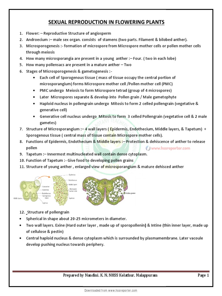 36 Bus Schedule Mbta Pdf