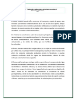 Práctica Nº4 "Tejidos de Conducción y Estructuras Secretora