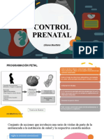 Control Prenatal