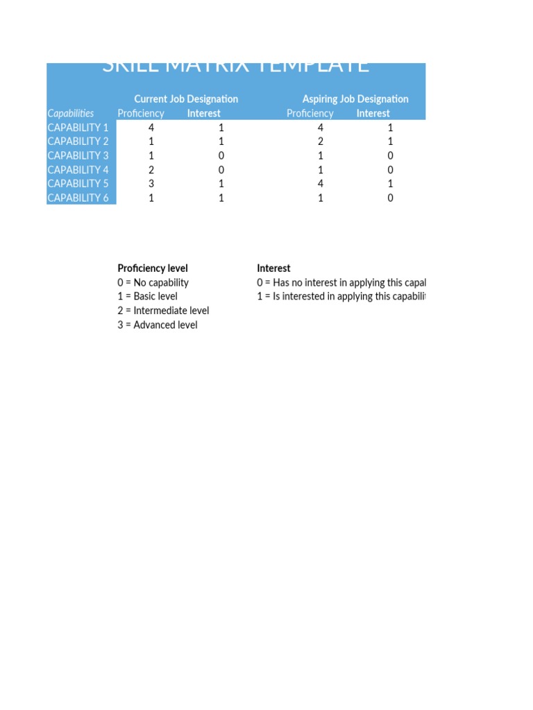 Skill Matrix Template for Career Development | PDF