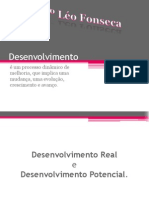 DESENVOLVIMENTO