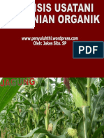 Analisis Usahatani Pertanian Organik