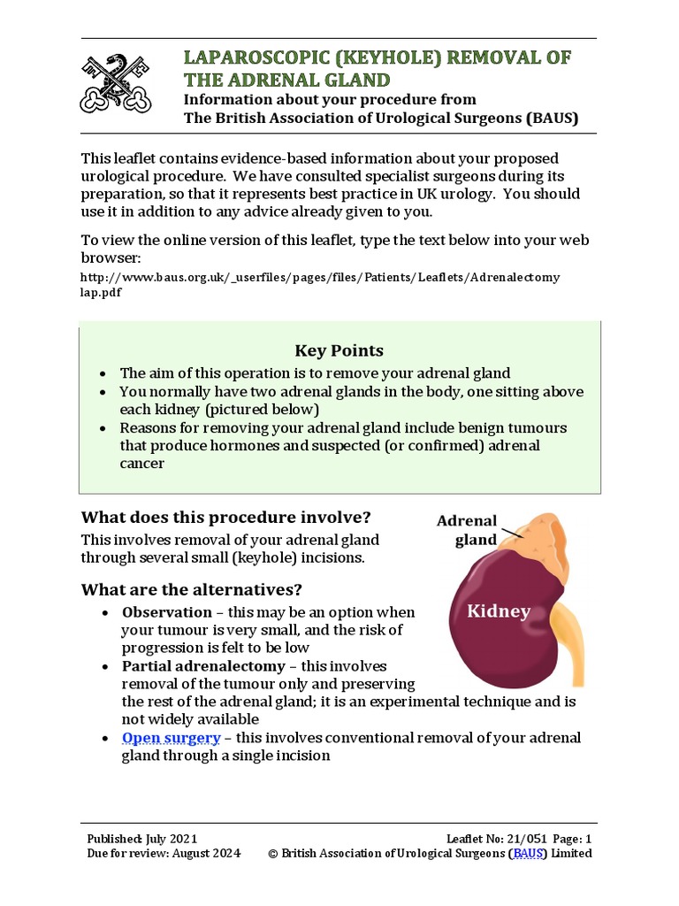 Adrenalectomy Lap | PDF | Surgery | Urology