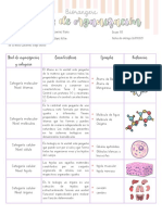 Biorangers - Niveles de Organización