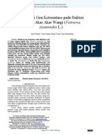 The - Exploration - of - Ketosynthase - Gene - On Id