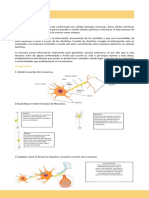 Bases Biologicas Cuadernillo