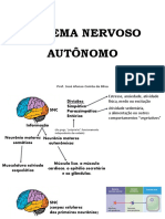 Slides Revisão Sistema Nervoso Autônomo