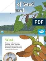 t2 S 205 Types of Seed Dispersal Powerpoint - Ver - 5