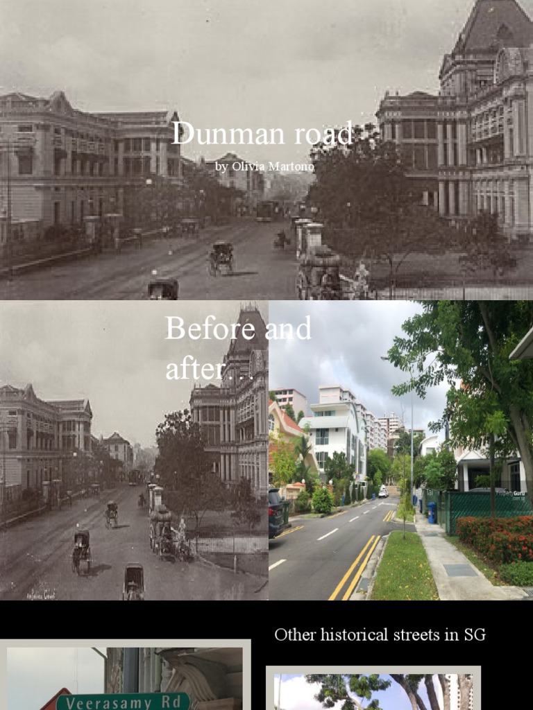 History and Highlights of Dunman Road | PDF